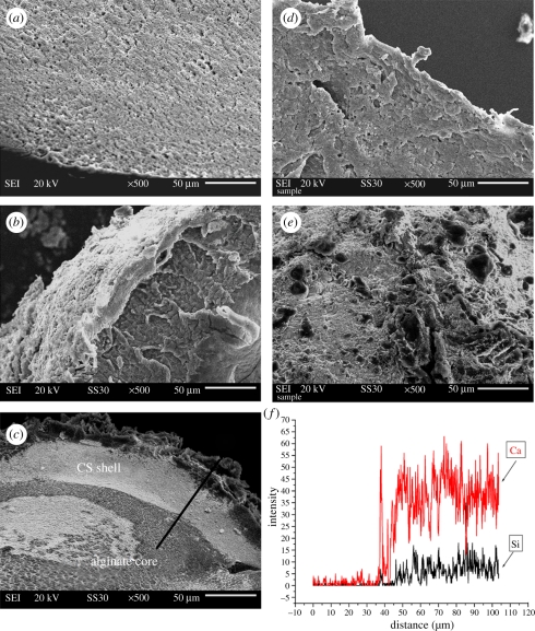 Figure 3.