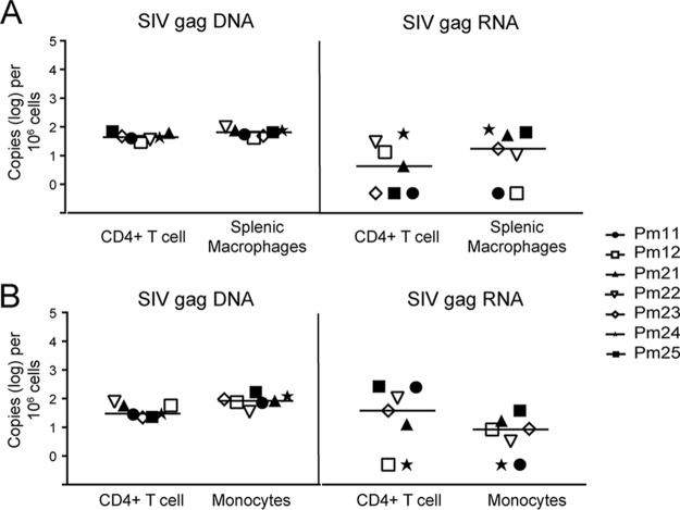 FIG 4