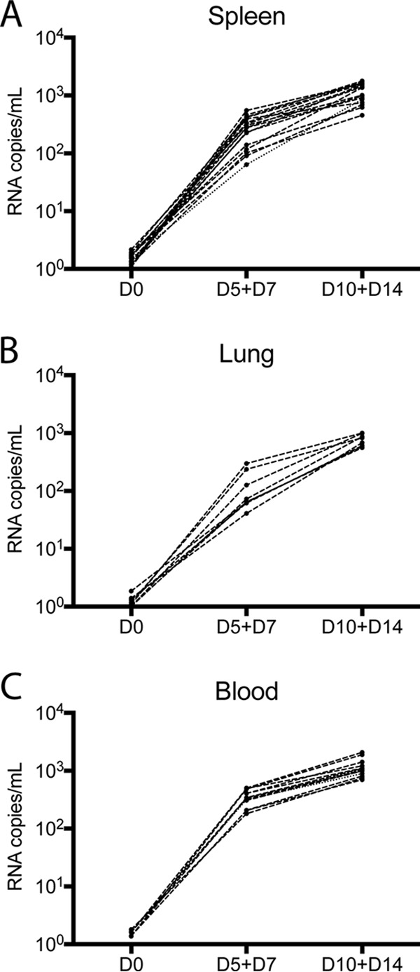 FIG 9