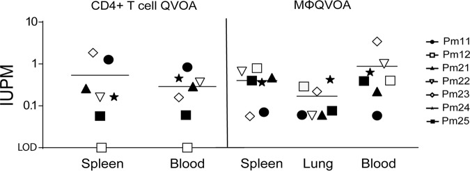 FIG 7