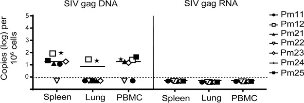 FIG 2