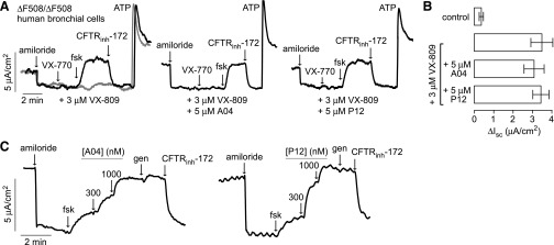 Fig. 6.