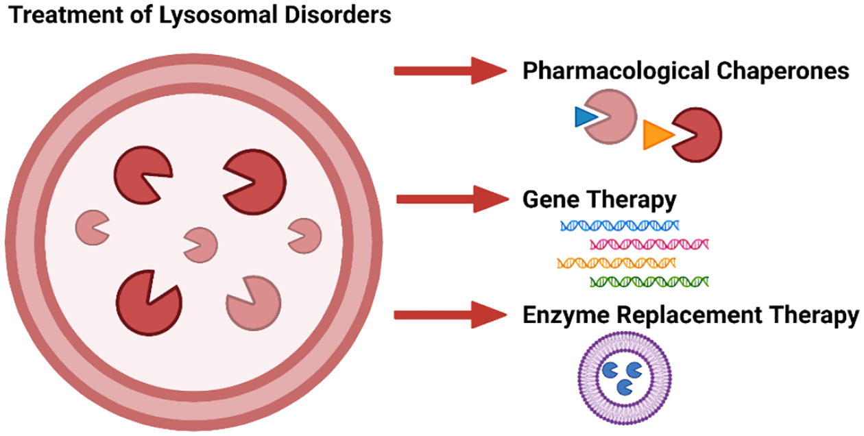 Figure 5: