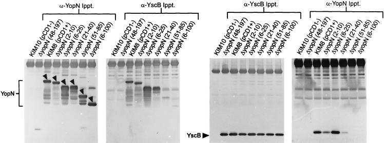 FIG. 8