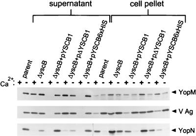 FIG. 3