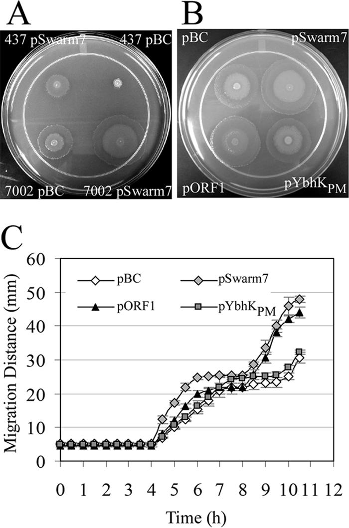 FIG. 1.