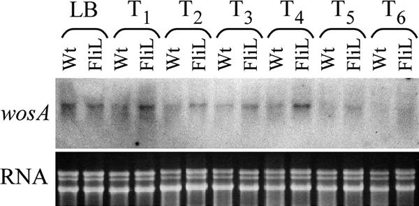 FIG. 8.