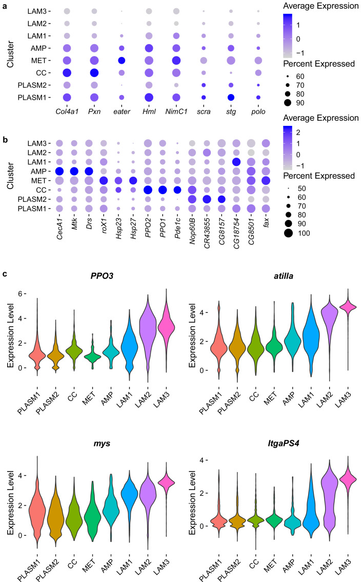 Figure 3—figure supplement 2.