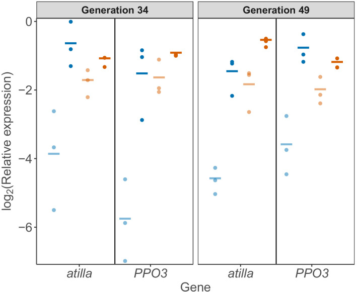 Figure 2—figure supplement 1.