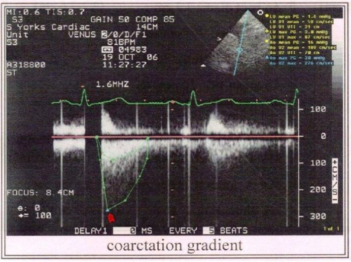 Figure 5: