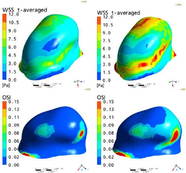 Figure 4: