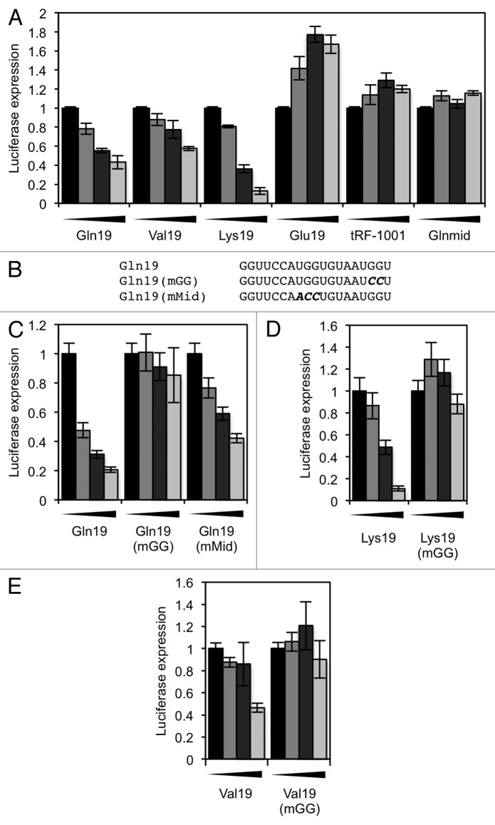 graphic file with name rna-10-553-g5.jpg