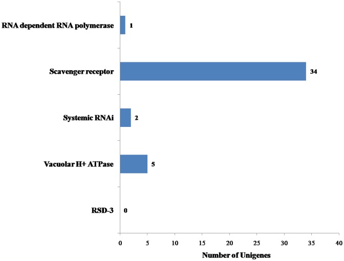 Fig 6