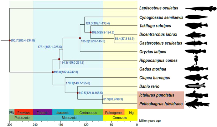 Figure 5: