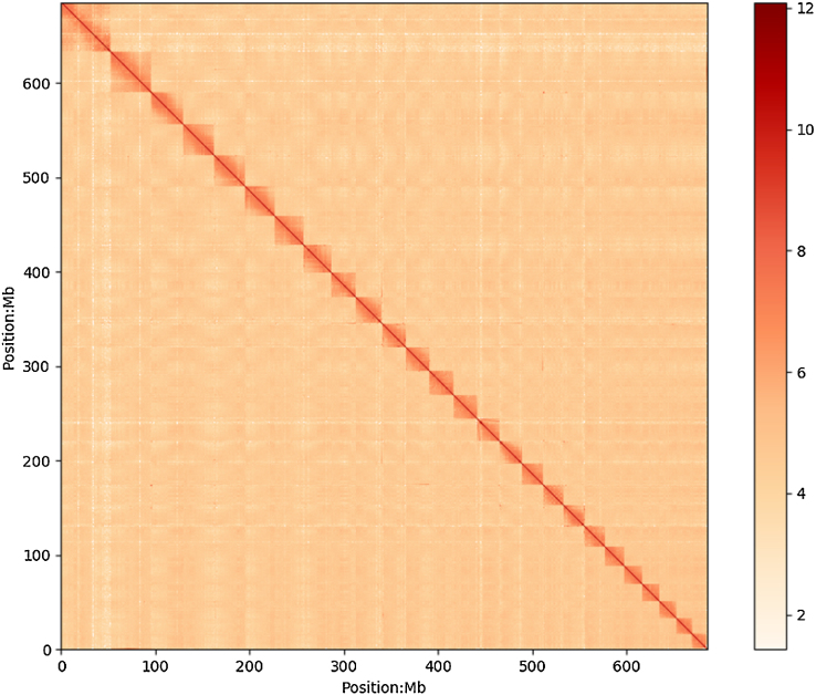 Figure 2: