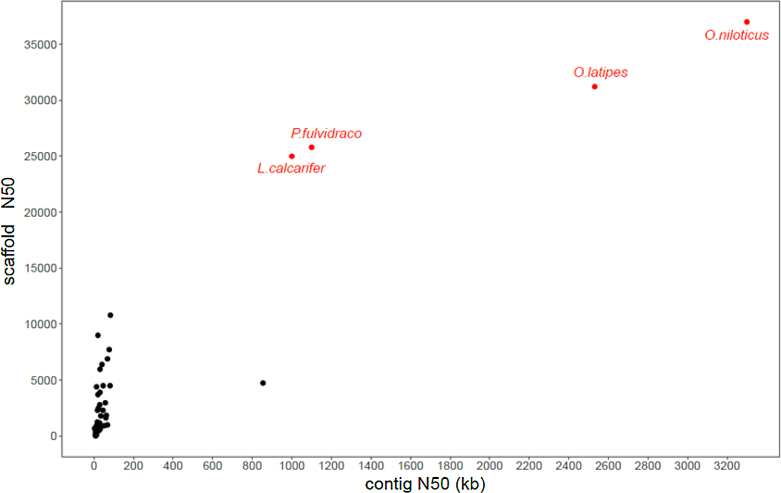 Figure 3: