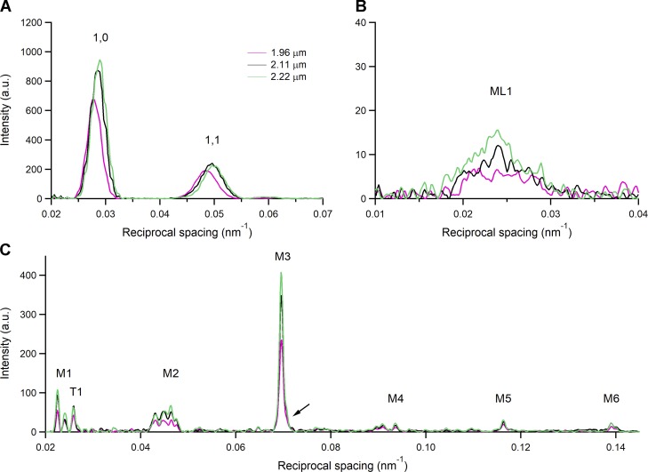 Figure 4.