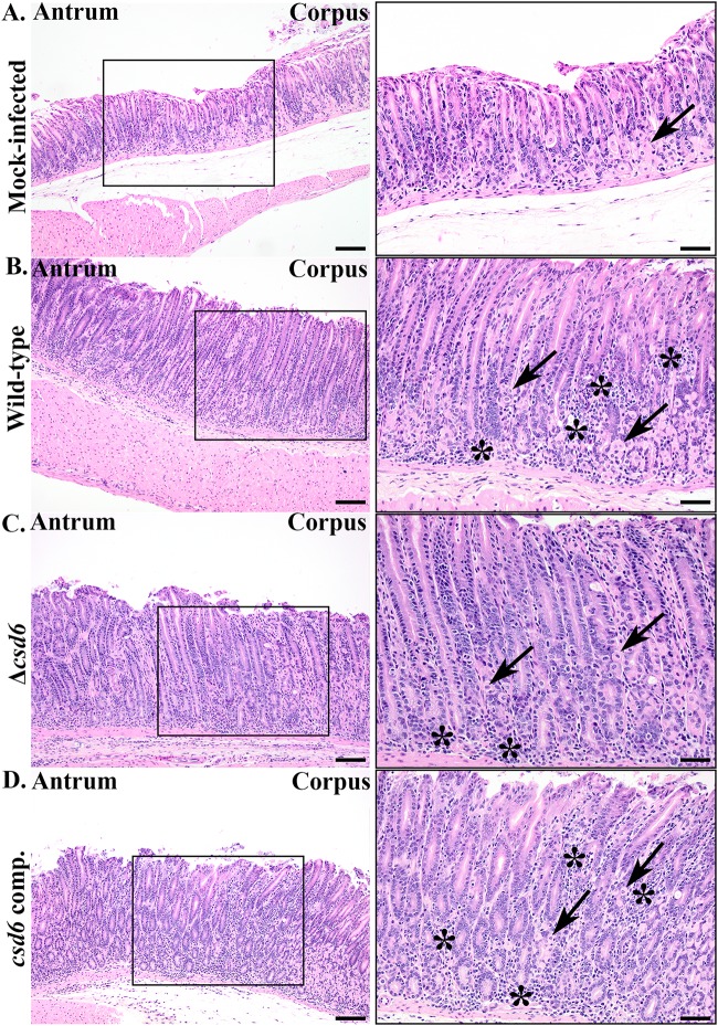 FIG 5