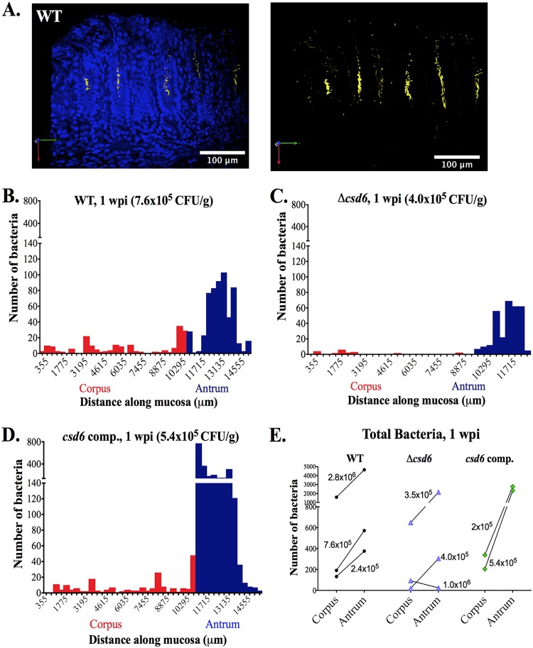 FIG 3