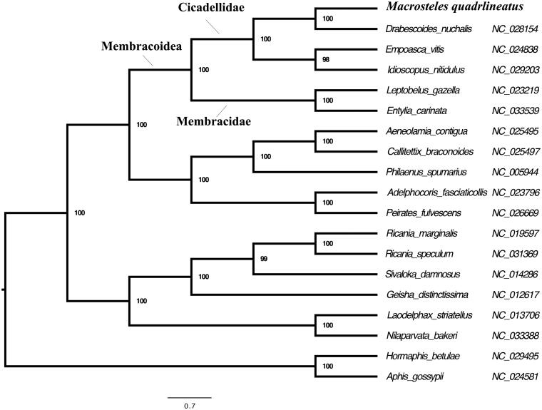 Figure 1.