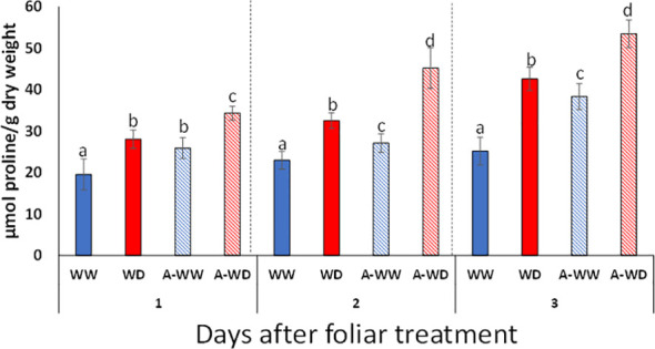 Figure 6