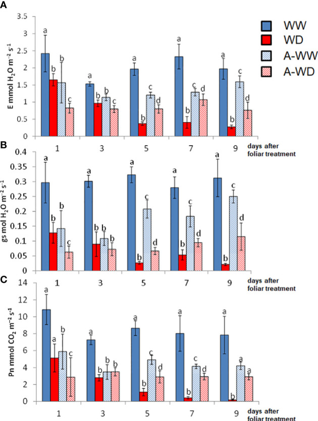 Figure 4