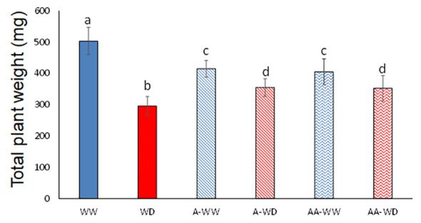 Figure 3