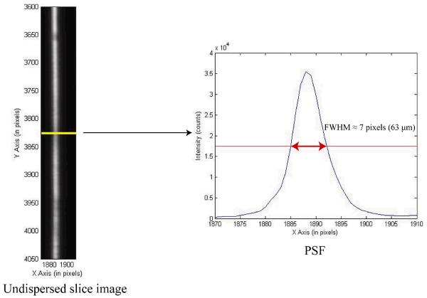 Fig. 10