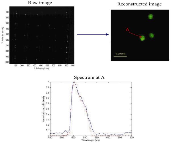 Fig. 11