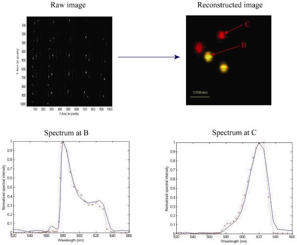 Fig. 12