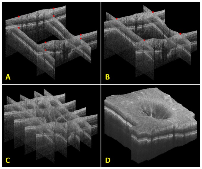 Fig. 10