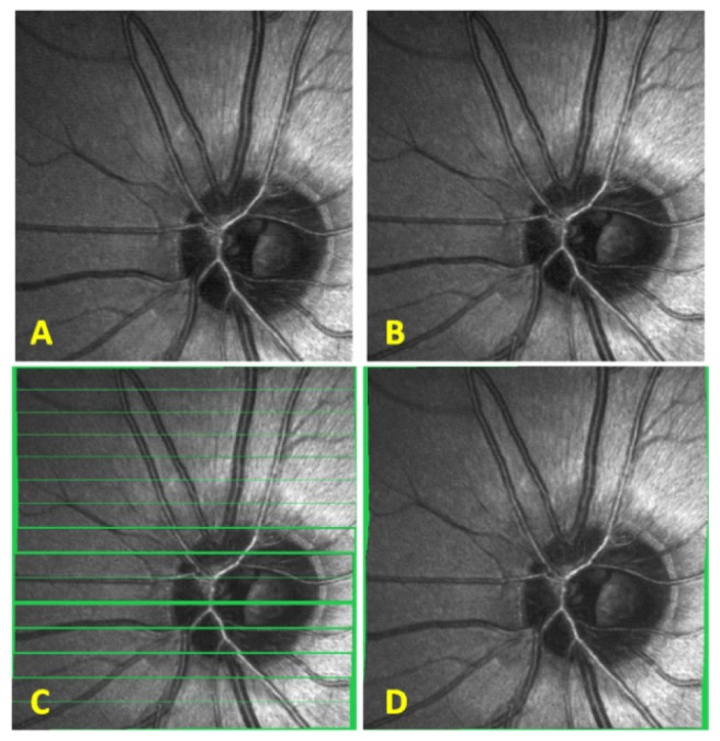 Fig. 7