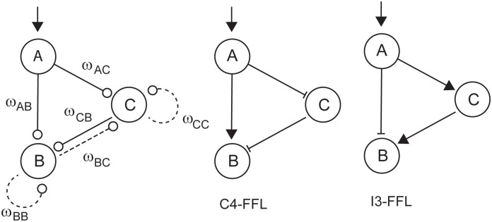 Fig 7