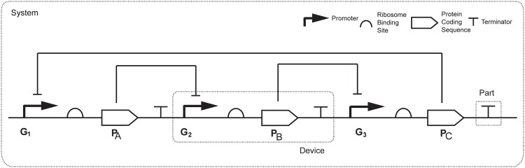 Fig 3