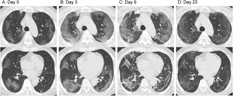 Fig. 3