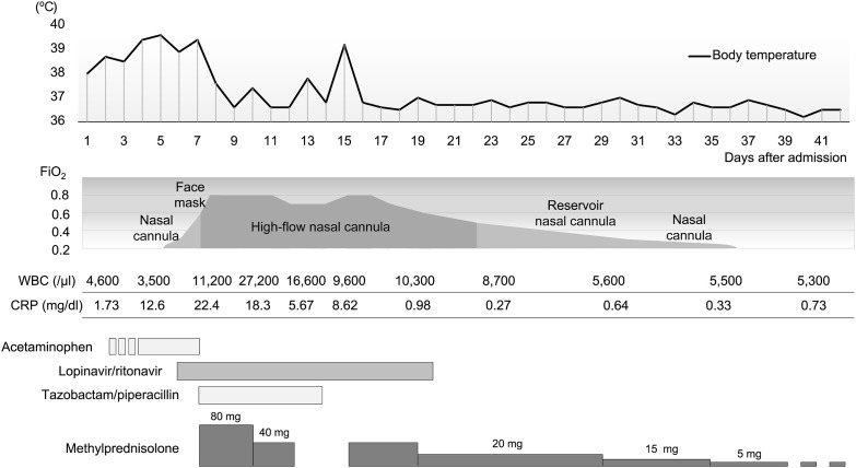 Fig. 1