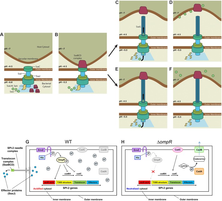 Fig 10