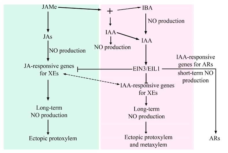 Figure 9