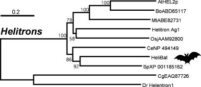 Fig. 3.