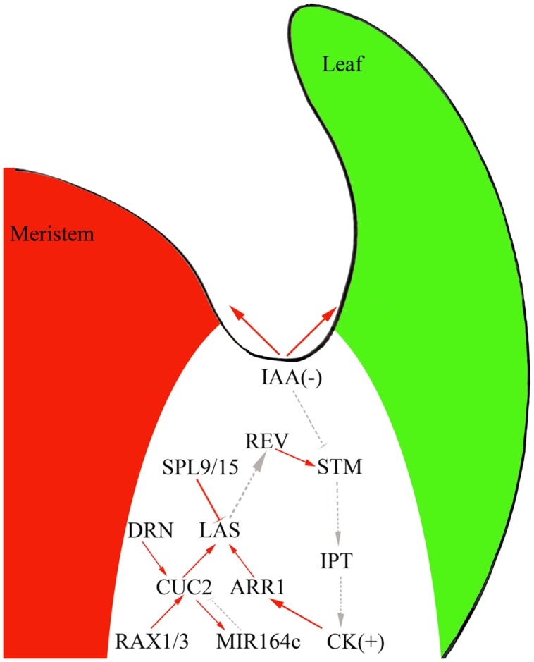 FIGURE 2