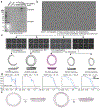 Extended Data Fig. 8 |
