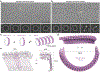 Fig. 2 |