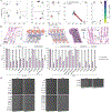 Extended Data Fig. 9 |