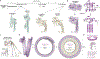 Fig. 3 |