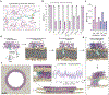 Fig. 4 |