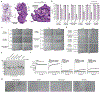 Extended Data Fig. 1 |
