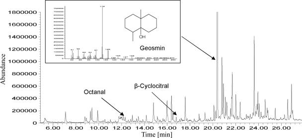 FIG. 5.