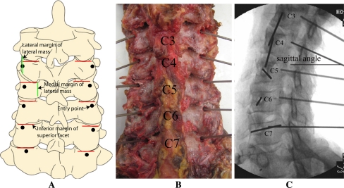 Fig. 1