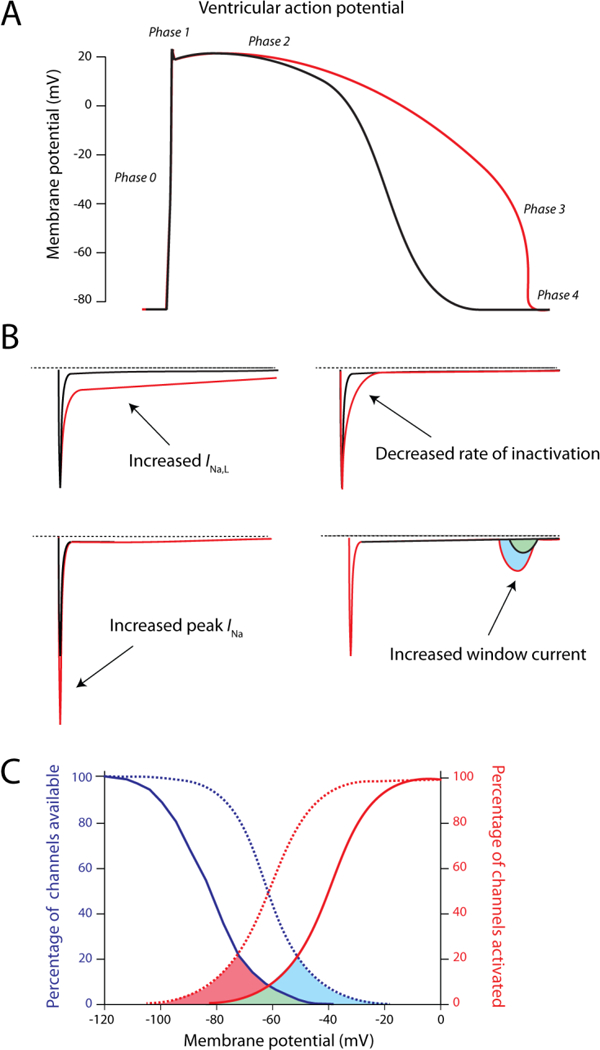 Figure 5: