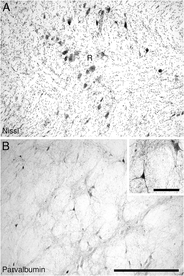 Figure 15.